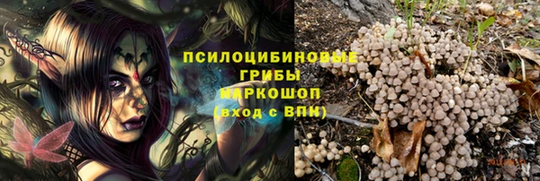 спайс Аркадак