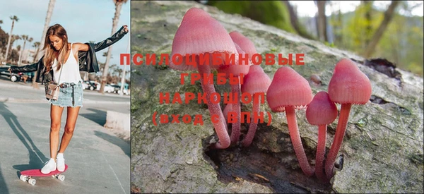 каннабис Арсеньев