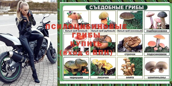 каннабис Арсеньев