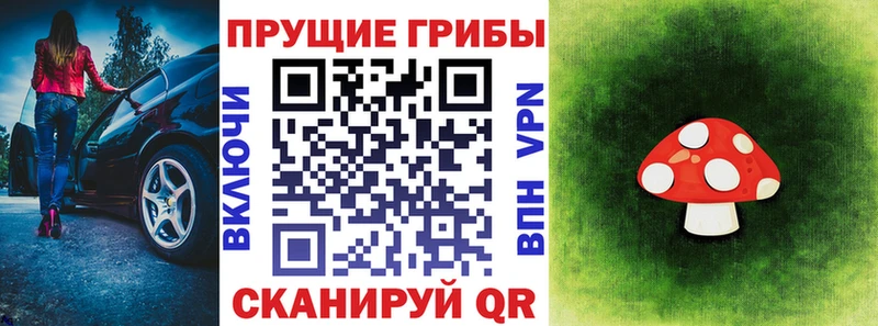 Галлюциногенные грибы Magic Shrooms  Волхов 